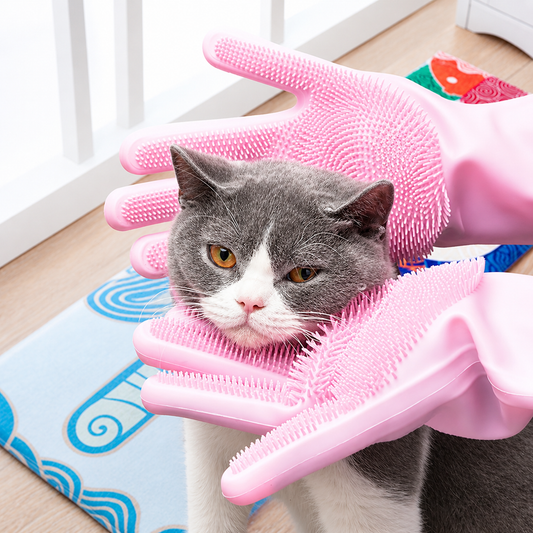 Gato siendo masajeado suavemente con guantes de silicona para baño y limpieza de mascotas.