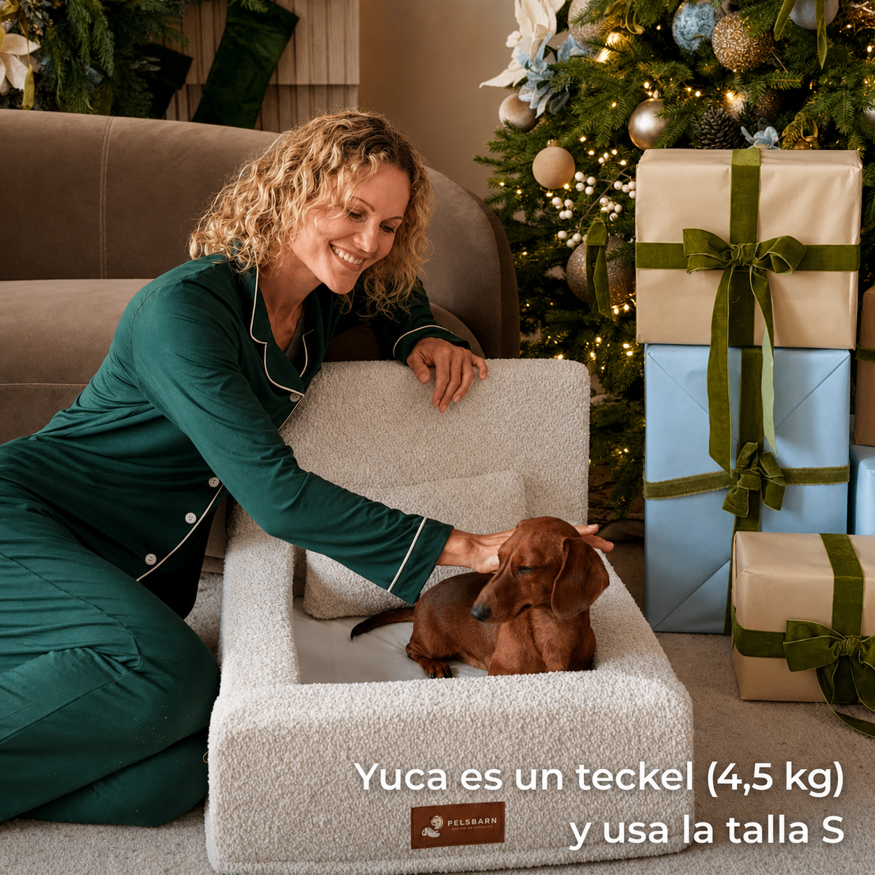 Teckel descansando en una cama sofá bouclé para mascotas en un ambiente cálido y navideño.