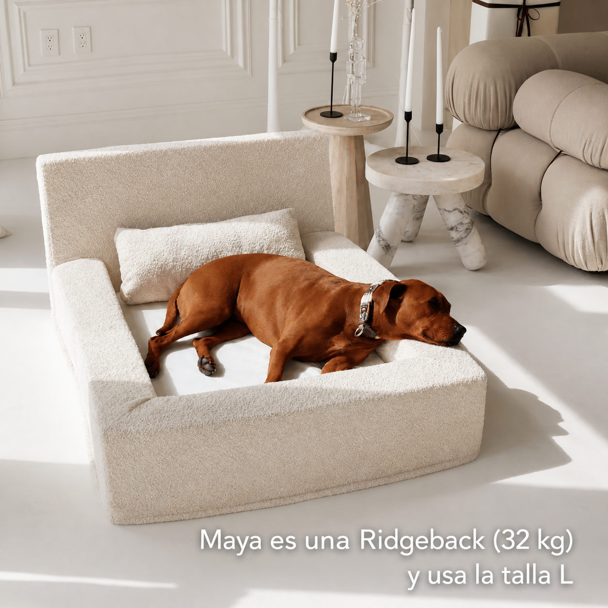 Perro grande descansando cómodamente en una cama sofá de tejido bouclé con respaldo elevado y laterales acolchados.