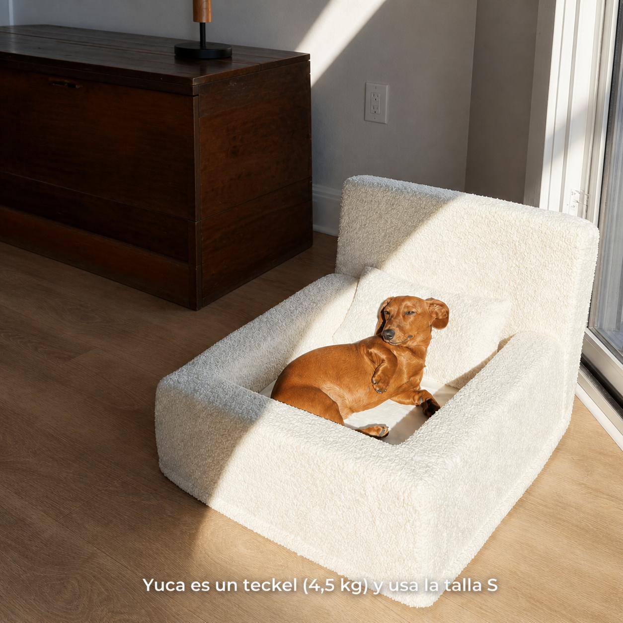 Teckel pequeño descansando en una cama sofá de tejido suave, ideal para perros de tamaño pequeño.