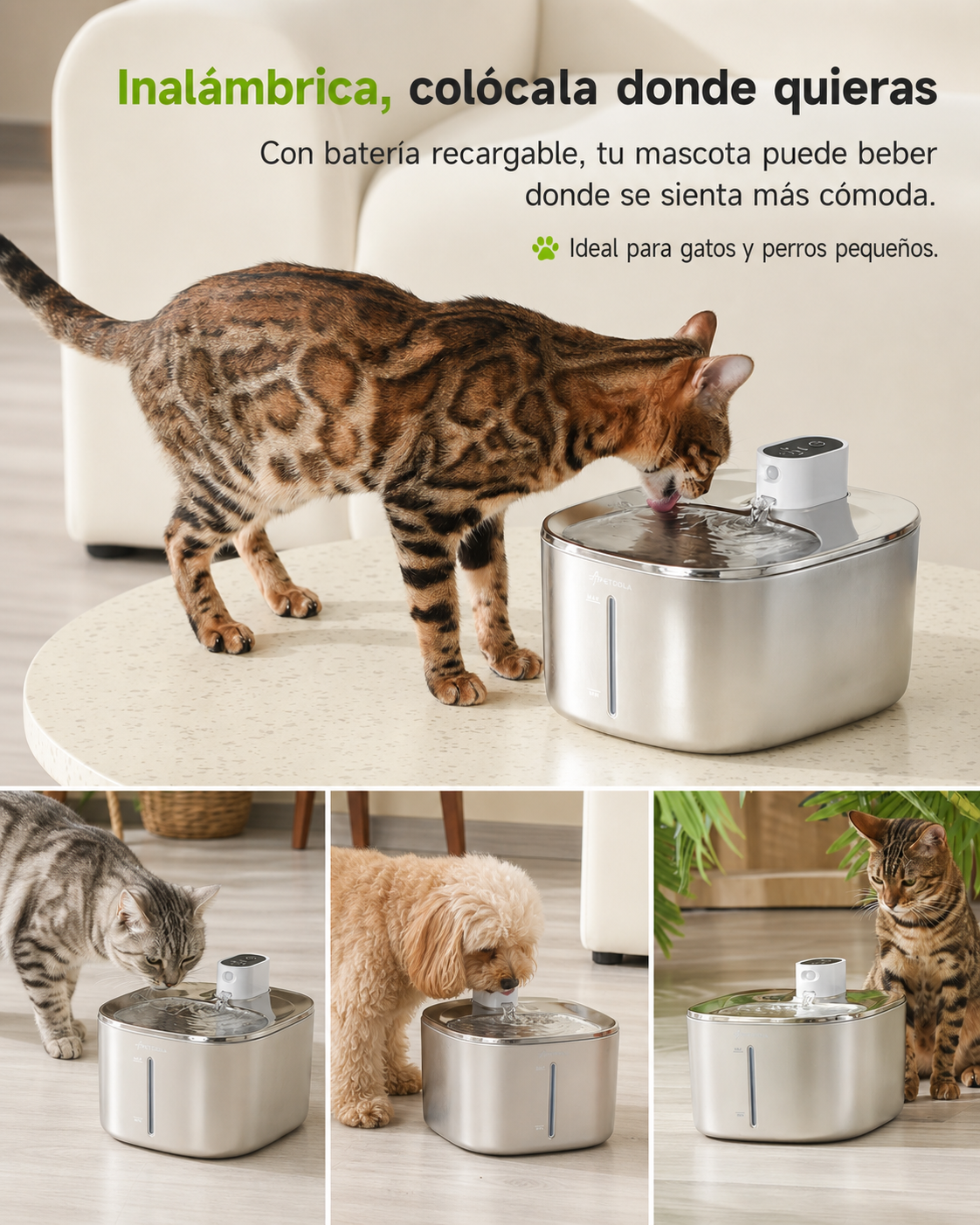 Kit básico de fuente de agua para mascotas de 4 litros con filtro, esponjas, herramientas de limpieza y adaptador EU